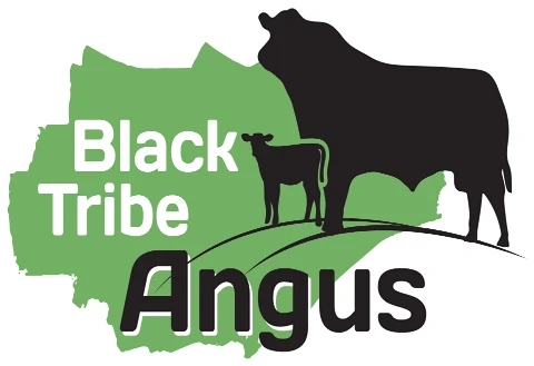 Berggasthof-Untergrenchenberg - Black Tribe Logo